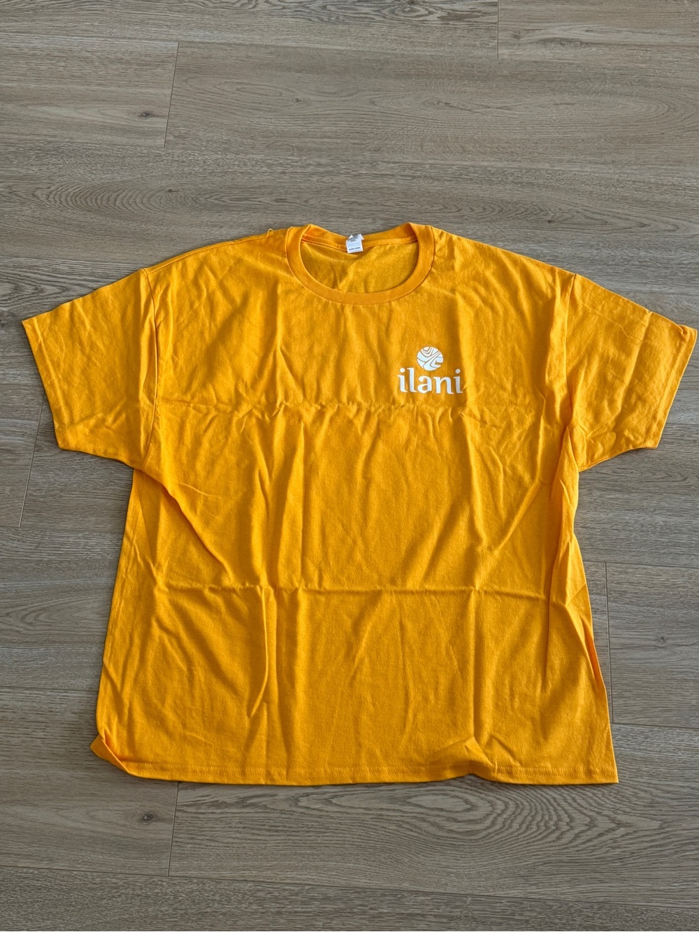 Ilani Tee Shirt EcoSmart
Orange Graphic Print T-Shirt
XL